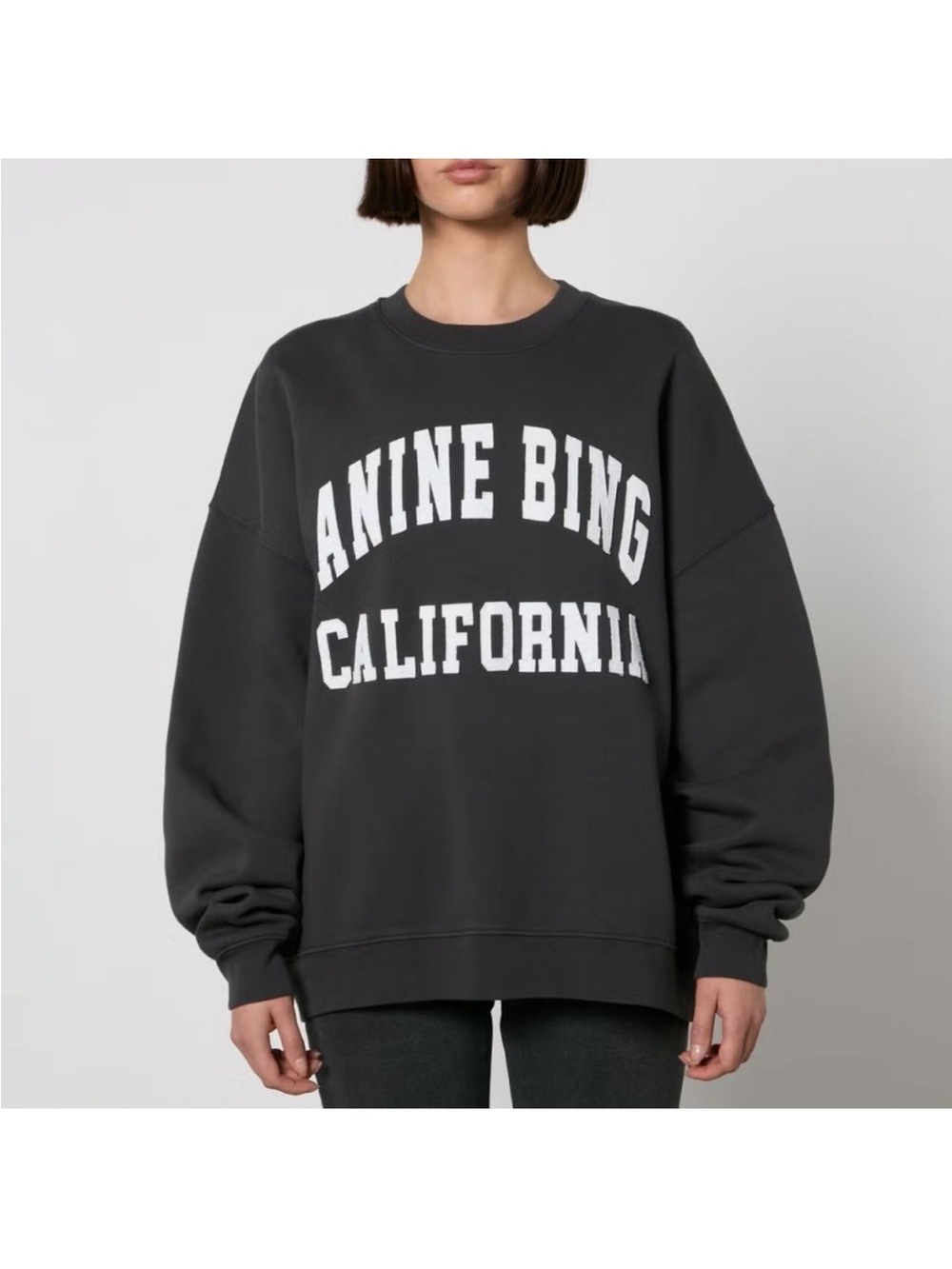 Annie Bing Miles Sweatshirt 
Size Large